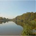 Мишкин пруд (Западный Чагинский заболоченный пруд) в городе Москва