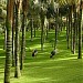 Loro Parque - Parrot Park
