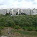 Яблоневый сад в районе пр. Хрущева и Майского бульвара в городе Курск