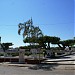 Parque Libertad