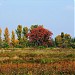 Заказник «Урочище Бобровня» в городе Киев