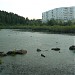 Утиное болото в городе Пермь