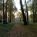 Парк усадьбы Успенское в городе Ногинск