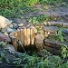 Источник Казанской иконы Божией Матери в городе Москва