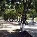 Parque da Ilha