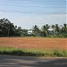 Kochu Palli Ground