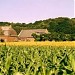 Ferme de l'Hosté