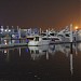 Festival Marina in Dubai city