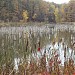 Korobchyn Pond