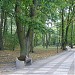 Park im. S. Żeromskiego in Kołobrzeg city