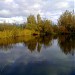 Озеро Карасёвое в городе Бугры