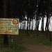 Forest Land at Umargam Beach