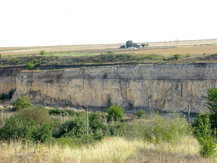 Кариера Златна нива