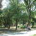 Сквер (Гор.парк) в городе Невинномысск