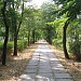 Lane of 50 Years of October avenue (end)