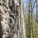 Krimulda castle ruins