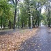 Орловский городской парк культуры и отдыха в городе Орёл