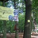 Park linowy in Kołobrzeg city