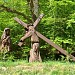 Kościół pw. Matki Bożej Brzemiennej i diecezjalny Dom Samotnej Matki (pl) in Gdańsk city
