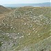 Large Theatre in Laodicea