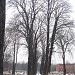 Cmentarz in Zabrze city