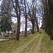 Cimitir, Jigodin Ciuc în Miercurea Ciuc oraş