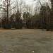Летний парк в городе Екатеринбург