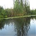 Estuary of Piskuvata River