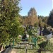 Городское кладбище в городе Калининград