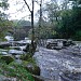 Dartmeet