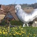 Deepdene roundabout / Dorking Cockerel