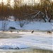 Водоём в городе Казань