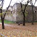 Zamek w Trembowli in Trembowla city