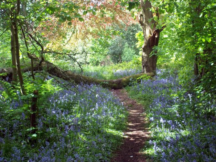 Bourtreehill estate Irvine