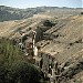 Mogao Caves