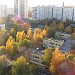 7-й А и Б микрорайоны Строгина в городе Москва