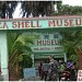 Sea Shell Museum-Diu