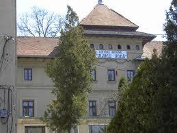 Colegiul Naţional Vlaicu Vodă Curtea De Arges