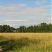 Бурковское поле (малое)