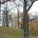 Duntes Ozoli в городе Рига