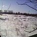 Яблоневый сад в городе Тверь