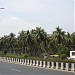 coconut grove in Chennai city