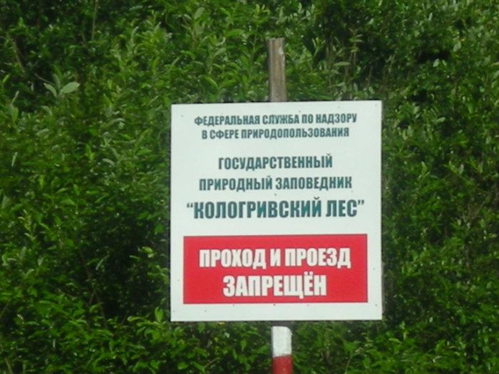 купить виагру в костроме