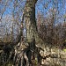 Новая дамба в городе Казань