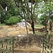 Monojeet's mamar bari