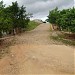 Bairro das Pedrinhas na Ipu city