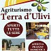 Agriturismo Terra d'Ulivi - Porto Cesareo