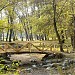 Lake in Sofia city