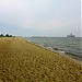 Plaża na Babich Dołach in Gdynia city