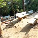 Traditional Trekking Path to Sabarimala Temple